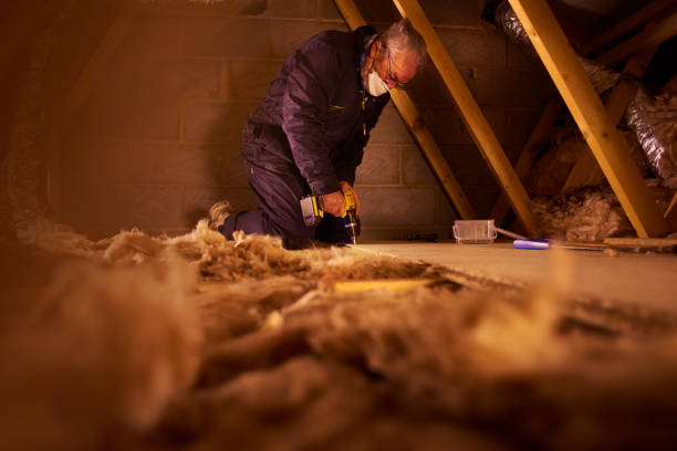 Best Insulation Maintenance and Repair in Bremen, GA